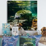 Serene Sea Giant Portrait of a Manatee - Manatee Wall Decor