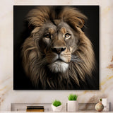 Dark Majestic Lion portrait - Lion Large Canvas Wall Art