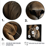 Dark Majestic Lion portrait - Lion Large Canvas Wall Art