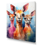 Curious portrait of Llama friends - Llama Large Canvas Wall Art