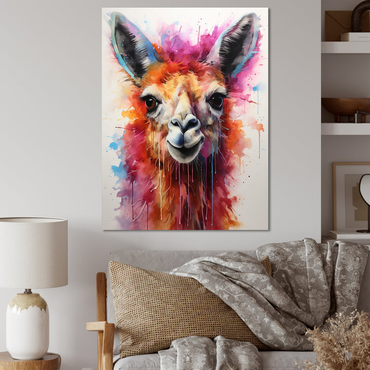 Portrait of a quirky Llama - Llama Canvas Wall Art