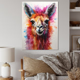 Portrait of a quirky Llama - Llama Canvas Wall Art