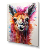 Portrait of a quirky Llama - Llama Canvas Wall Art