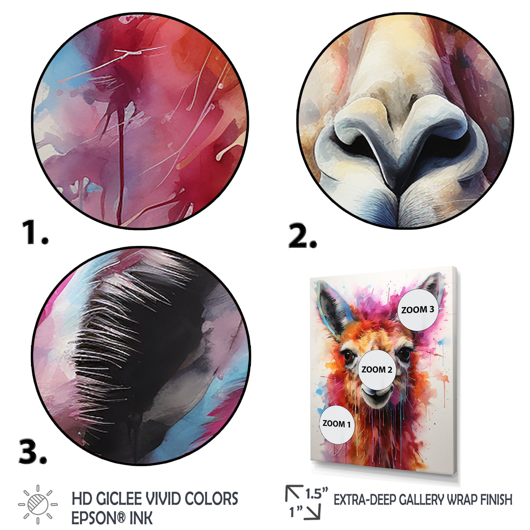 Portrait of a quirky Llama - Llama Canvas Wall Art