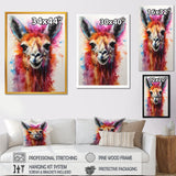 Portrait of a quirky Llama - Llama Canvas Wall Art