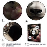 Regal Panda Crowned Portrait - Panda Wall Art Prints