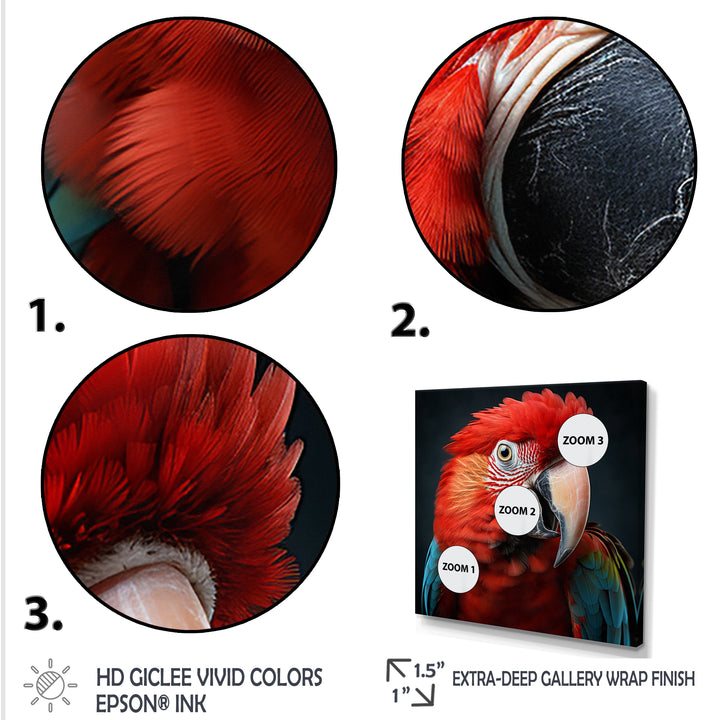 Red Parrot portrait photo - Parrot Wall Art Prints