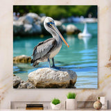 Coastal sentinelPelican photo - Animals Canvas Wall Art