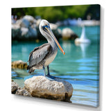 Coastal sentinelPelican photo - Animals Canvas Wall Art