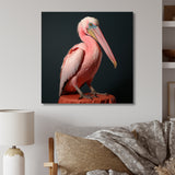 Coastal Watch pink Pelican - Pelican Framed Canvas Art