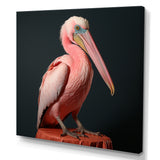 Coastal Watch pink Pelican - Pelican Framed Canvas Art