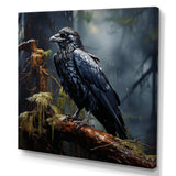 Black Raven forest Guardian I - Animals Canvas Wall Art