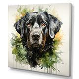 Tropical Labrador Dog Portrait - Dog Wall Art Prints