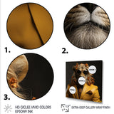 Lion in suit fashion Elegance - Lion Fashion Living Room Wall Art