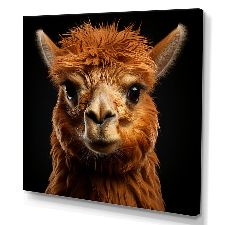 Serene Alpaca in Natural Elegance - Alpaca Canvas Wall Art