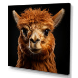 Serene Alpaca in Natural Elegance - Alpaca Canvas Wall Art
