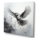 Graphite Realism The Wild Bird - Bird Wall Decor