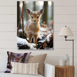 Cute Baby Deer portrait in winter - Animals Canvas Wall Art