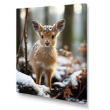 Cute Baby Deer portrait in winter - Animals Canvas Wall Art