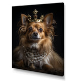 Crowned Royal bloodhound Pomeranian Dog - Yellow Dog Wall Art