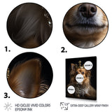 Crowned Royal bloodhound Pomeranian Dog - Yellow Dog Wall Art
