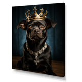 Crowned Royal Boston Terror - Black Dog Wall Art