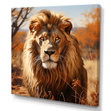 lion in an open savannah - Lion Home Decor Art
