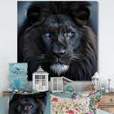 Midnight black and blue lion - Lion Canvas Wall Art