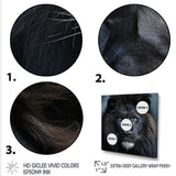 Midnight black and blue lion - Lion Canvas Wall Art