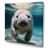 Curious Manatee gaze III - Animals Canvas Wall Art