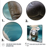 Curious Manatee gaze III - Animals Canvas Wall Art