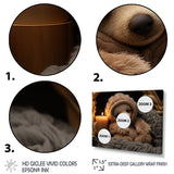 Brown Sloth Serenity sleep - Sloth Framed Canvas Art
