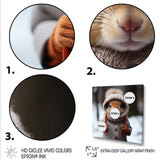 Squirrel with Hat in snow - Squirrel Canvas Wall Art
