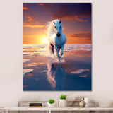 Coastal Horse Majesty Noble Horse Portrait - Horse Wall Art Prints