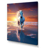 Coastal Horse Majesty Noble Horse Portrait - Horse Wall Art Prints