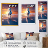 Coastal Horse Majesty Noble Horse Portrait - Horse Wall Art Prints
