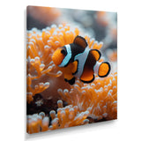 Orange white coral clown fish Marvel - Coral Bedroom Wall Art