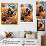 Orange white coral clown fish Marvel - Coral Bedroom Wall Art