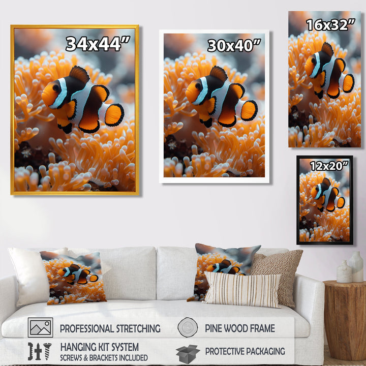 Orange white coral clown fish Marvel - Coral Bedroom Wall Art
