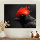 Red Grey Whispers Bird of Paradise - Bird Canvas Wall Art
