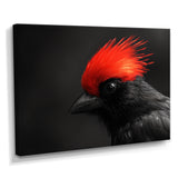 Red Grey Whispers Bird of Paradise - Bird Canvas Wall Art