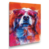 Pink white sunglasses border collie portrait - Dog Wall Art Prints