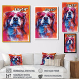Pink white sunglasses border collie portrait - Dog Wall Art Prints