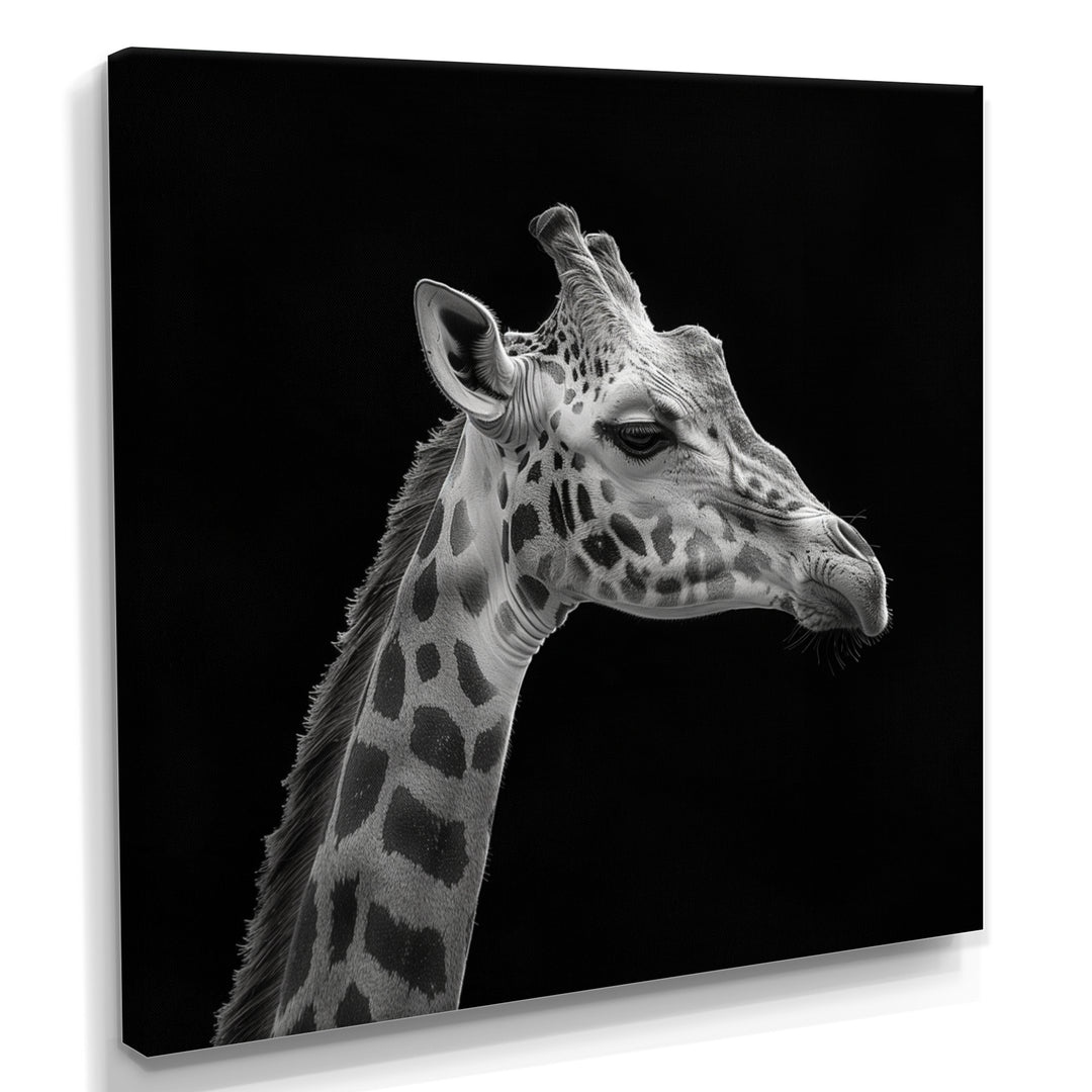 Giraffe profile on black - Gray Giraffe Wall Art