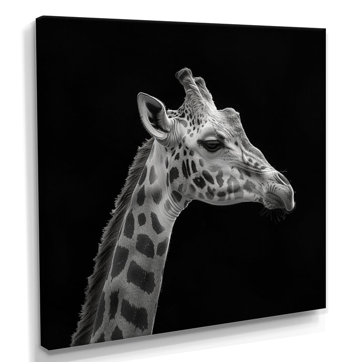 Giraffe profile on black - Gray Giraffe Wall Art