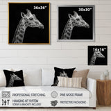 Giraffe profile on black - Gray Giraffe Wall Art