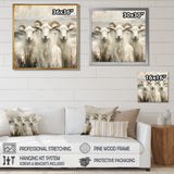 Grey And Brown Goat Minimalism Coastal Goats - Goat Wall Decor