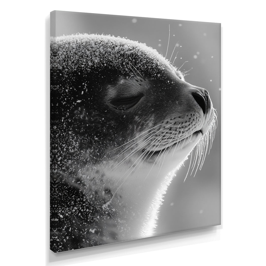Monochrome Black Seal Accented With Grey - Seal Wall Decor