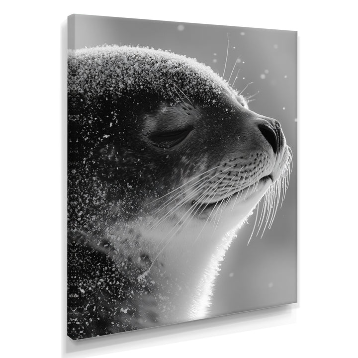 Monochrome Black Seal Accented With Grey - Seal Wall Decor