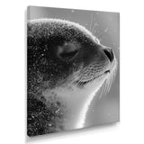 Monochrome Black Seal Accented With Grey - Seal Wall Decor